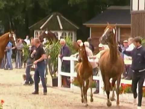 Millennium Nachkommen 2012