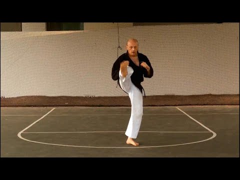 Basics: Front Snap Kick – Sensei Rod Lindgren