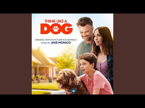 Video thumbnail for Dogs to the Rescue