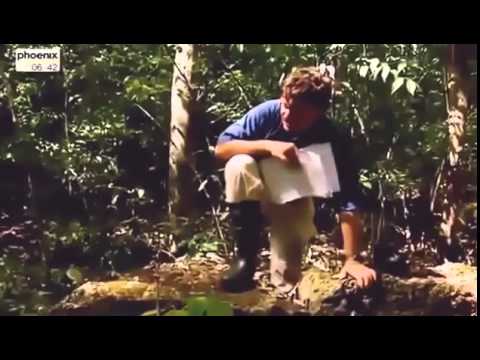 Die Sternenkriege Der Maya 1 2 Der Sternenkrieg Der Maya Doku Doku Neune 2013 Deutsch