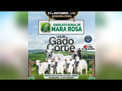 LEILÃO DE GADO DE CORTE - SINDICATO RURAL DE MARA ROSA 27/10/2025