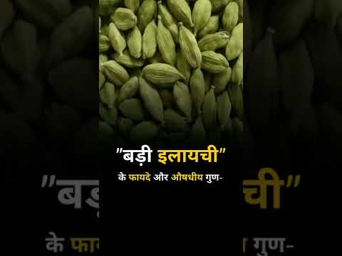 Benefits and medicinal properties of big cardamom #cardamom #cardamomo #cardamombuns #cardamome