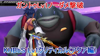 ガントゥLv1ノーダメ撃破【KHBbSアクア編】
