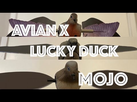DOVE DECOY BATTLE: Mojo vs Lucky Duck vs Avian X
