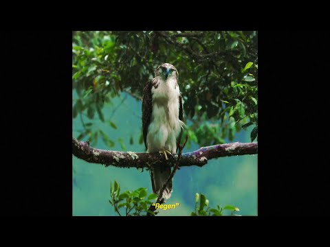 YUKNO & GIRLWOMAN - REGEN