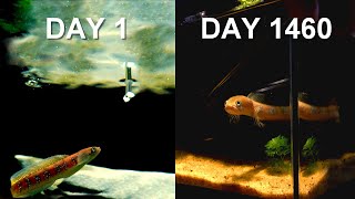 What Happens When a 4-Year-Old Snakehead Meets Frogs and Lizards?