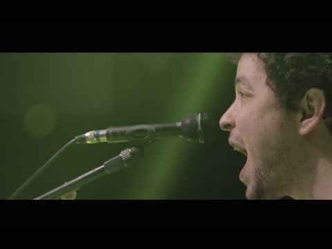 O Bobo - Cicero