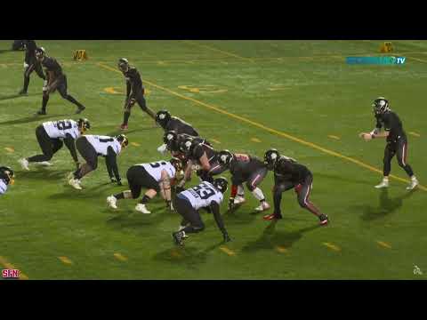 Highlights D1 Elite 2024 - Week 3 : Molosses VS Leopards