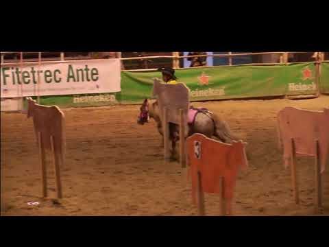 Matteo Cavaliere - Ginevra De Marchi - Elisa Riva - Gimkana Penning - 1° Classificato Cat. A