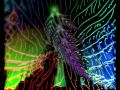 Curve - Low And Behold (w/ Abstract ...