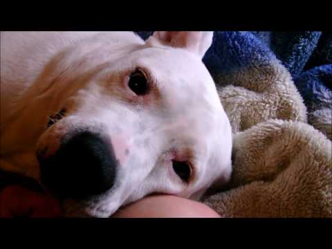 Video thumbnail for Intro (Aluminum Oddity)