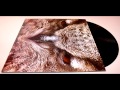 Dirty Owl LP Preview