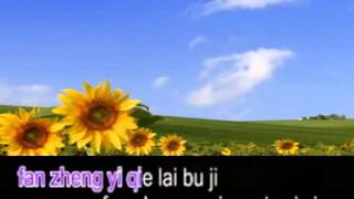 pin yin 如果没有你 ru guo mei you ni