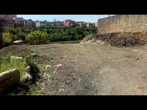 Rua Rodolfo Mayer,  Munícipe jogado as traças pelo poder publico