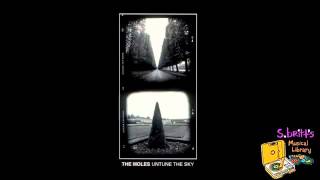 The Moles 'Bury Me Happy'