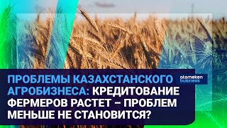 Кредитование фермеров: кому доступны кредиты и помощь государства?