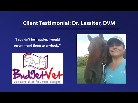 Mybudgetvet