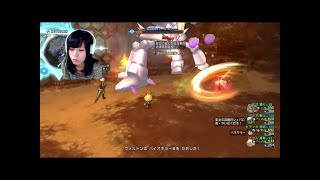 DQ10　防衛軍　獣ボス討伐