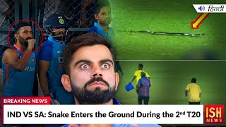 IND VS SA: Snake Enters the Ground During the 2nd T20