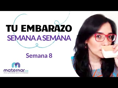 Semana 8 | Tu embarazo semana a semana | Maternar.co