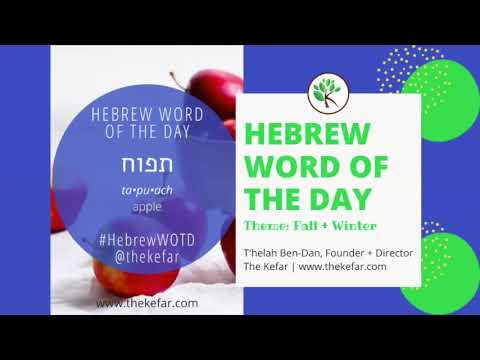 Hebrew Word of the Day - Apple
