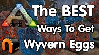ark evolved wyvern survival eggs