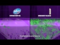Domestos Extended Germ Kill Bleach