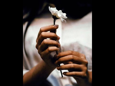 Daniel Kłosek - Najpiękniejsza nasza miłość  /1973/