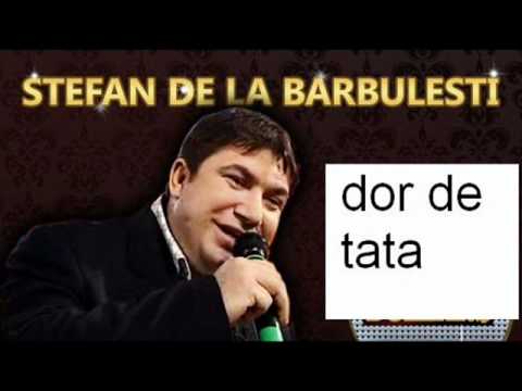 Stefan de la Barbulesti-Dor de tata