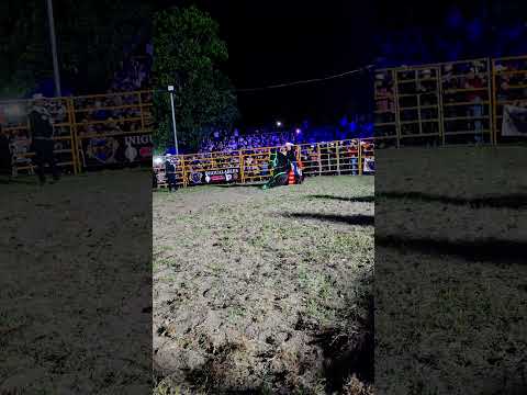 ¡Elegancia pura! Caballo Frisón en Agua Caliente, Chalatenango 🐎✨
