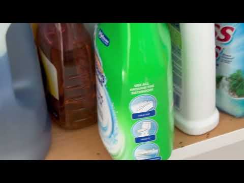 Ants Under the Sink & on the Counter in Sea Girt, NJ