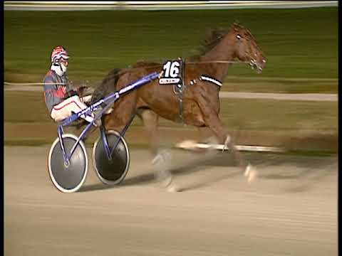 Trotto 08/01/2019 - 7ª corsa - TRIS