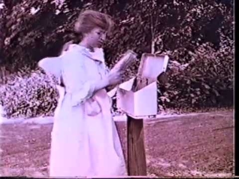 The Blissveldt Romance