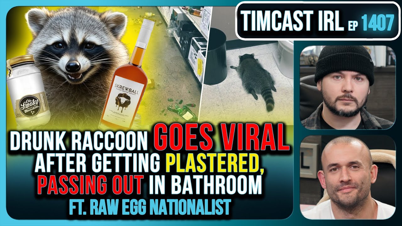 Drunk Raccoon Becomes Top US Story After Getting Plastered, Passing Out In Bathroom | Timcast IRL