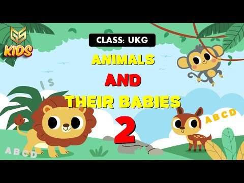 Animals and their babies - 2 - UKG - EVS - Gyansrota Kids