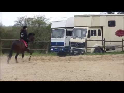 [11/04/2015] Séance de plat (g5,6,7)