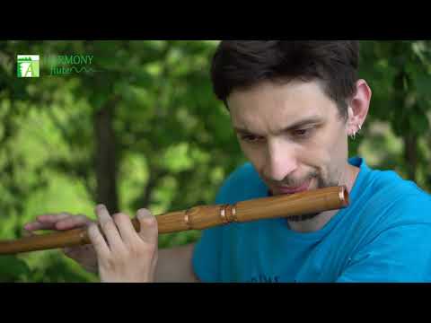 Irish flute D key ashwood