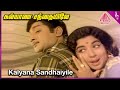 Kalyana Santhaiyile Video Song Sumathi En Sundari Movie Songs Sivaji Ganesan Jayalalithaa