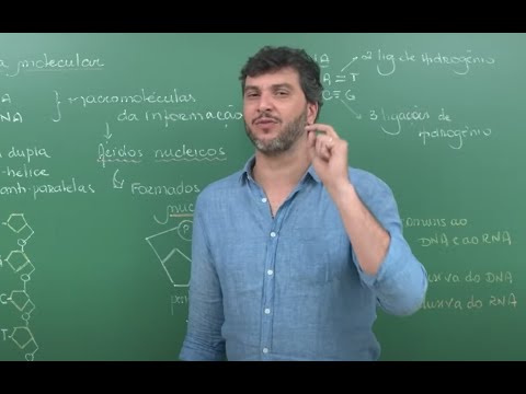 TIPS FOR THE ENEM BIOLOGY TEST | UNCOMPLICATED