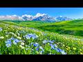 RECOVERY OF THE NERVOUS SYSTEM Gentle Music Calms The Nervous System And Pleases The Soul