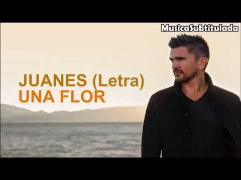 Juanes - Una Flor (Letra)