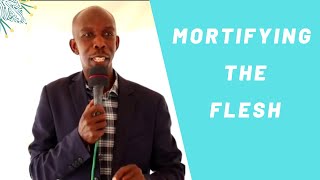 Mortifying The Flesh | JTMI