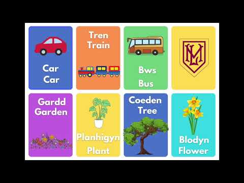 Welsh Words of the Week w/c 27th February 2023