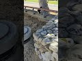 Tuxedo Cat Running Away And Jumping Funny Cats Cute Pets Beautiful Animals Amazing Memes