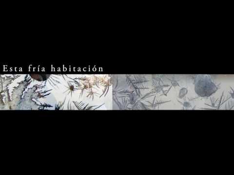 Elida Reyna Y Avante - Me Equivoqué (Letra) (Official Lyric Video)