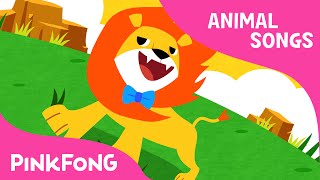Will You Marry Me? | Animal Songs | PINKFONG Songs for Children
