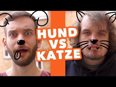 Hund VS Katze 2 - Wenn Tiere Menschen wären