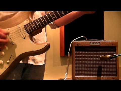 Flynn Amps Fender boutique Champ - free shipping image 6
