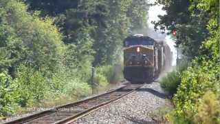 preview picture of video 'Short & Sweet: UP 8676 leading a 32 car QPDRV near Hubbard, Oregon July 24th, 2012'