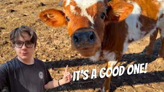 My last video before…